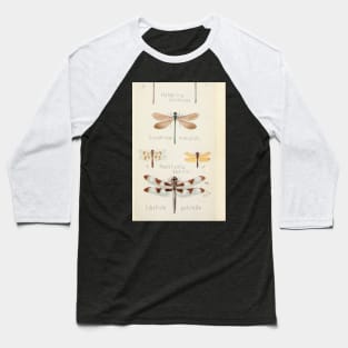 Dragonfly insect Baseball T-Shirt